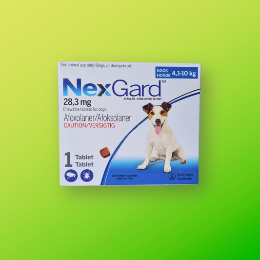 NexGard Chewables Tick & Flea Control for Small Dogs (4,1 to 10kg) - 1 Tablet